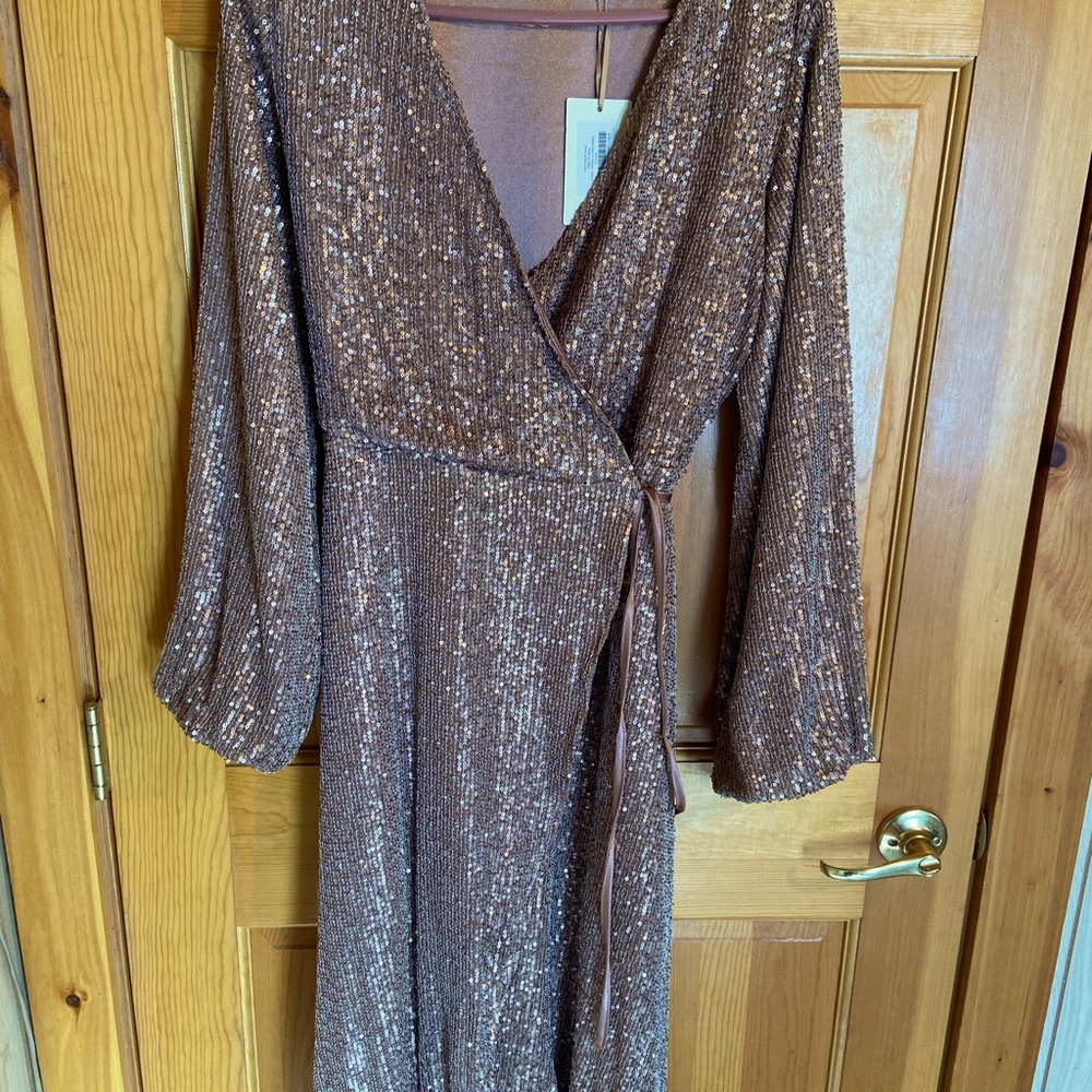 Gold beautiful dress in my opinion for around the holidays still has tags